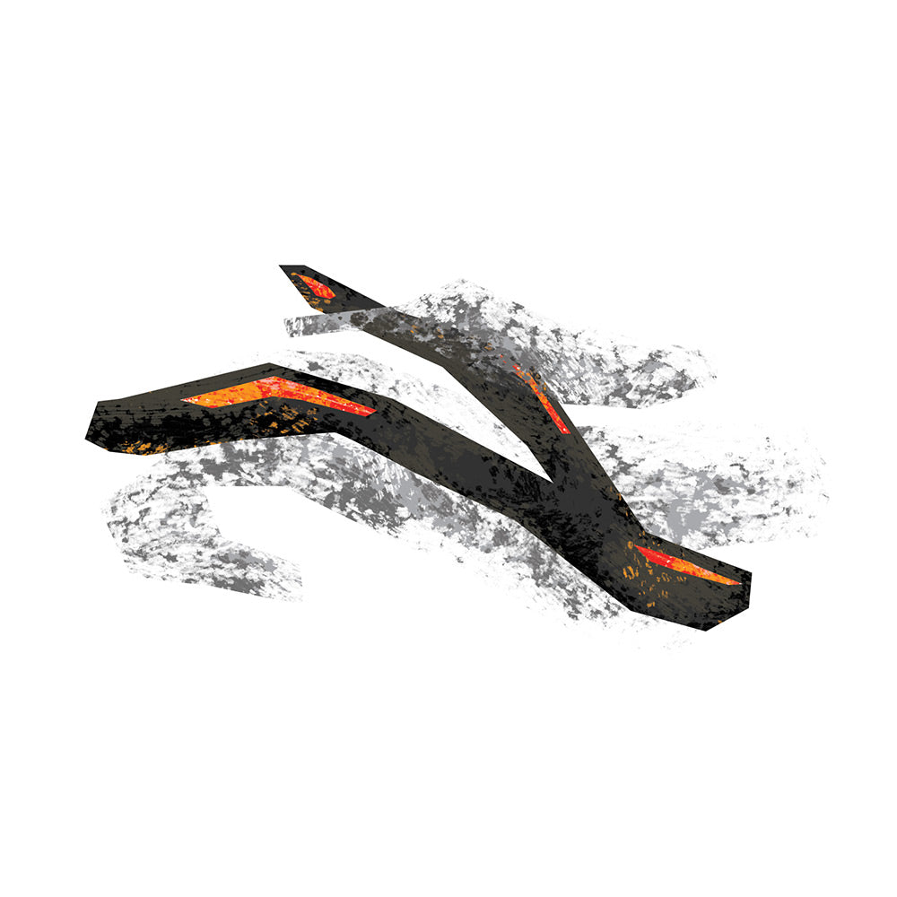 Olive Wood Smoked Olive Oil Evoolution