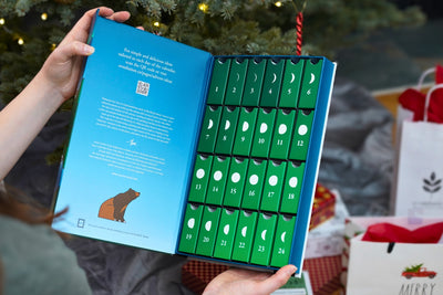 Evoolution Advent Calendar