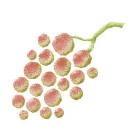 *NEW* Ultra Premium Rosé Balsamic Vinegar