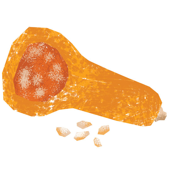 Butternut Squash Seed Gourmet Oil