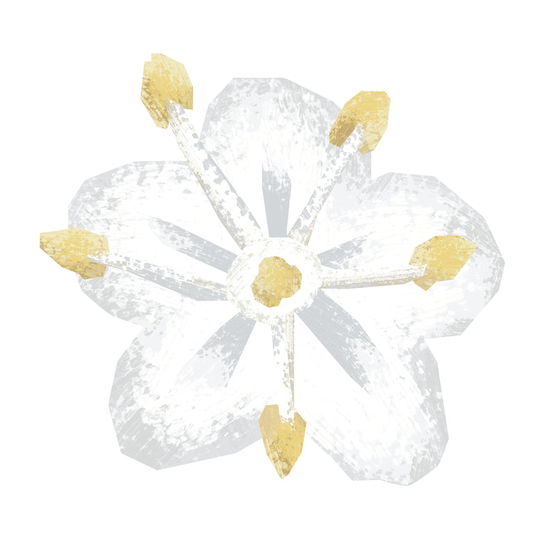 Elderflower White Balsamic Vinegar (50mL Size)