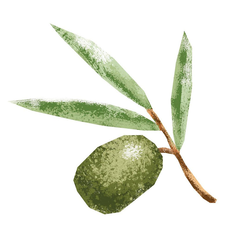 (Medium) Portuguese Cobrançosa Extra Virgin Olive Oil (50mL Size)