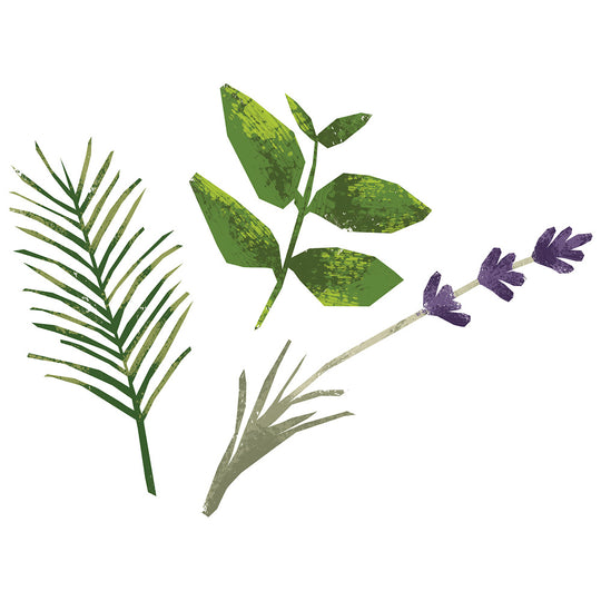 Herbes de Provence Olive Oil