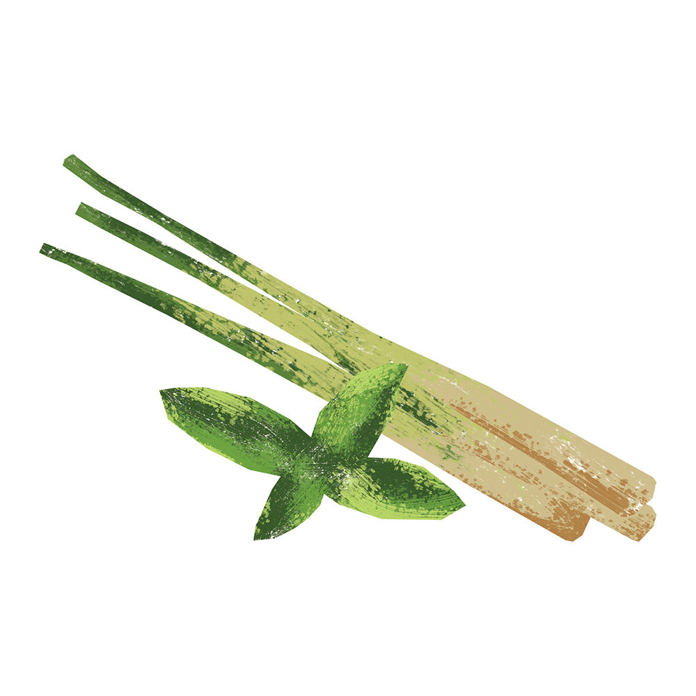 Thai Lemongrass-Mint - Balsamic Vinegar - Evoolution