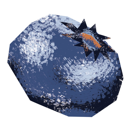 Wild Blueberry Dark Balsamic Vinegar